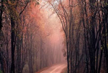 [英超]换鞋如换刀 切尔西逆转热刺.