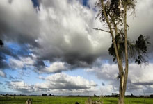 2025武汉马拉松鸣枪起跑.